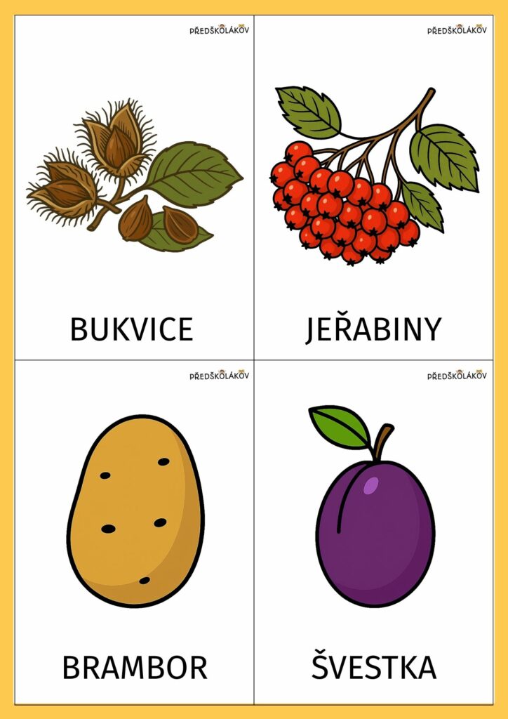 Podzimní demonstrační karty