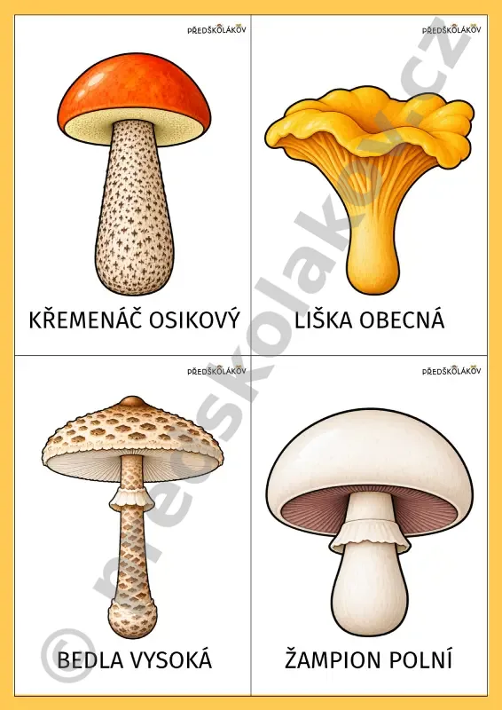 Demonstrační obrázky – houby